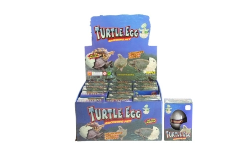 Ei mit Schildkröte