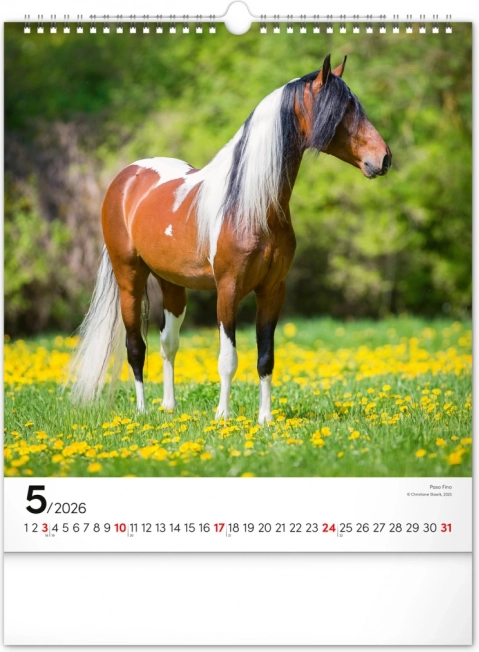 Wandkalender Pferde 2026