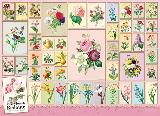 Puzzle Pierre-Joseph Redouté 1000 Teile von Cobble Hill