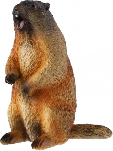 Stabil und spielbereit