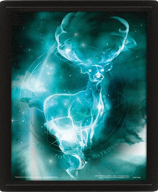 3D Bild Harry Potter Patronus