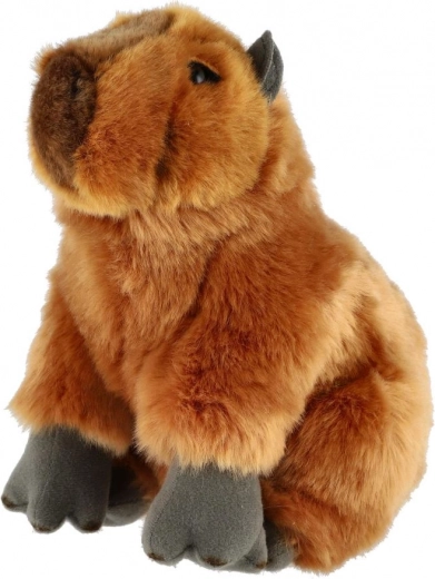 Realistische Optik, die begeistert