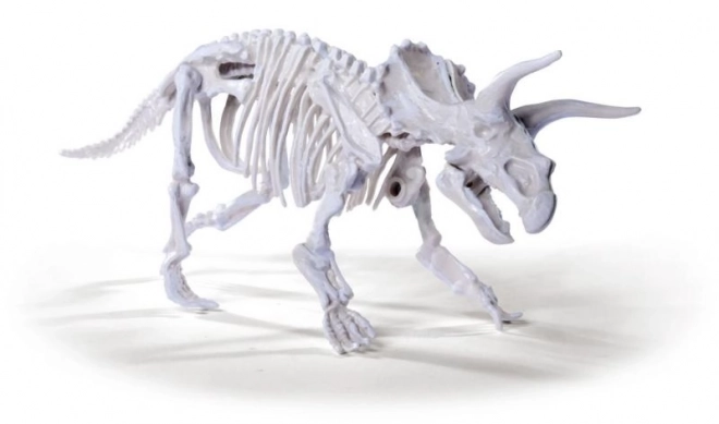 Ausgrabungsset Dinosaurier