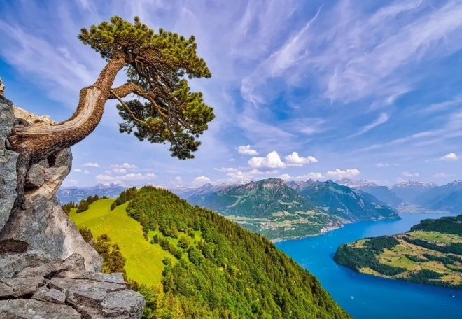 Puzzle 1000 Teile Uri-See Schweiz