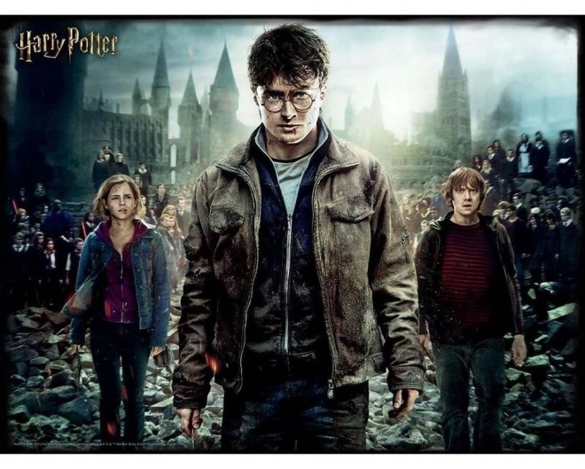 3D Puzzle Harry Potter: Harry, Hermine & Ron 300 Teile