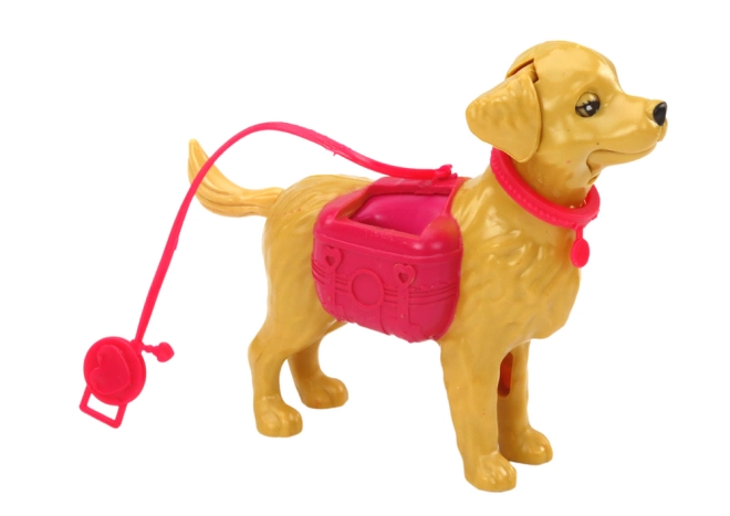 Hund an der Leine für Spaziergang-Spiele