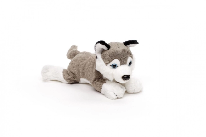 Plüschhund liegend 19 cm