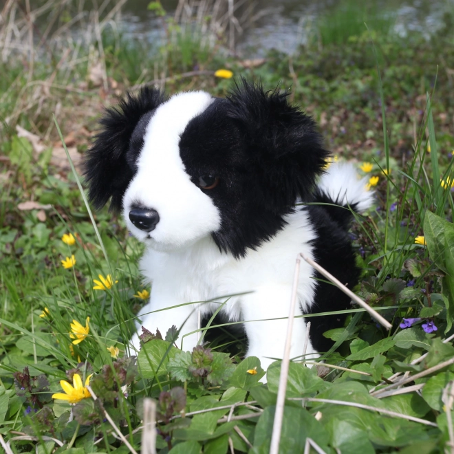 Plüschspielzeug Border Collie 30 cm von Rappa - umweltfreundlich