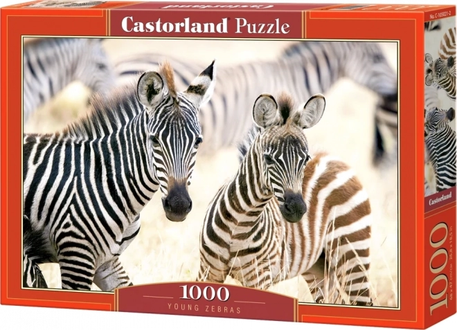 Castorland Puzzle Junge Zebras 1000 Teile