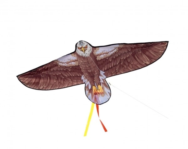 Flugdrachen Adler 138x69cm