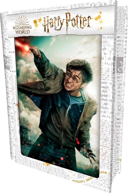 3D Puzzle Harry Potter - Harry