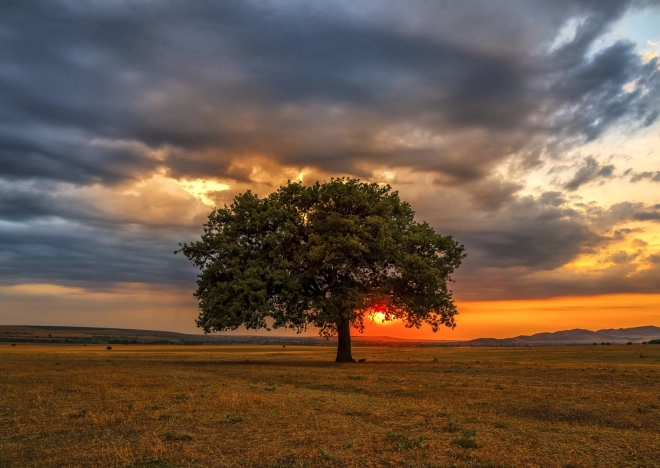 Enjoy Puzzle Abenddämmerung 1000 Teile