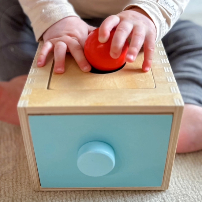 Woopie Green Holzpädagogisches Sortierspielzeug Montessori mit Schublade