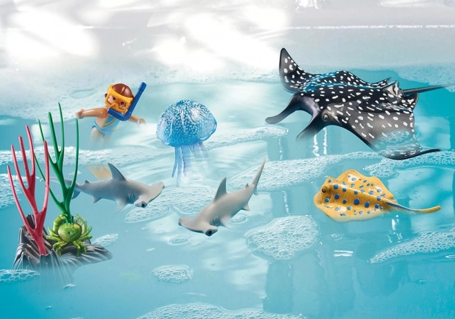 Spielset Korallenriff-Entdeckung von Wiltopia