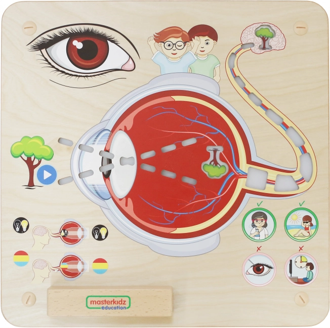Masterkidz Edukative Seh-Tafel Montessori