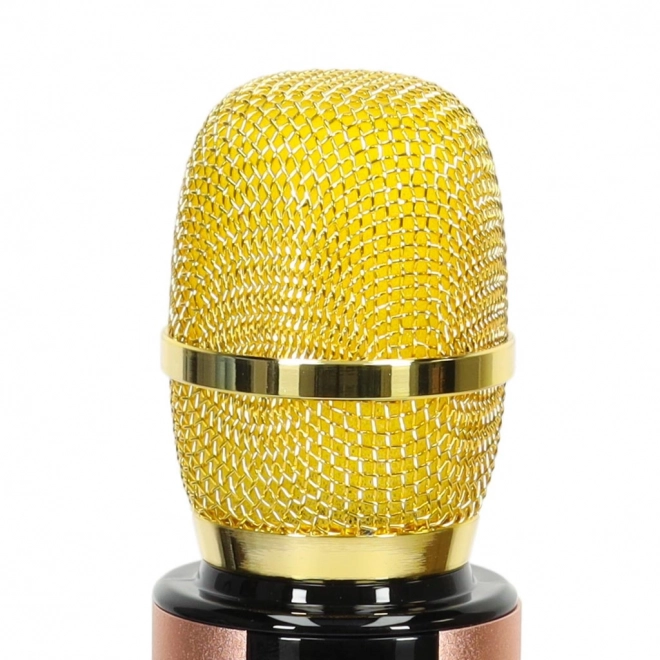 Karaoke drahtloses Bluetooth-Mikrofon schwarz – Gold