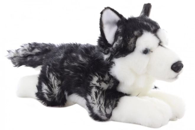 Plüsch Husky liegend 35 cm