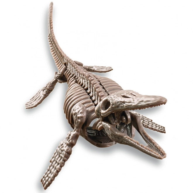 4M Mosasaurus Skelett