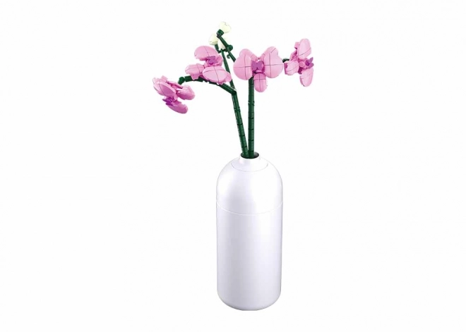 Blumen Orchidee in Vase von Sluban