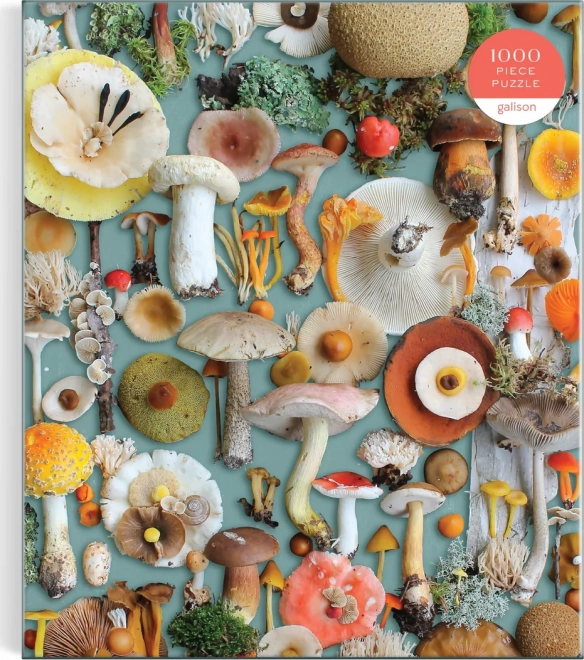 GALISON Puzzle Ernte 1000 Teile