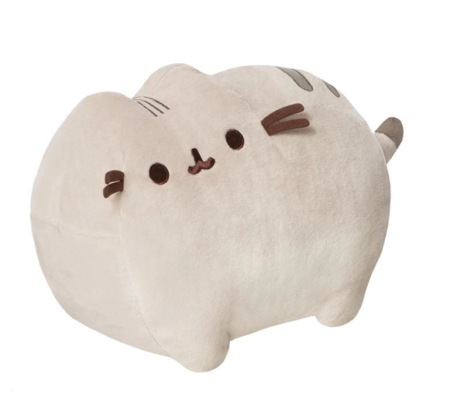 Niedliches Pusheen-Design