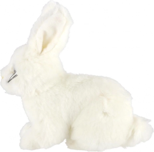 Leicht und ideal für unterwegs