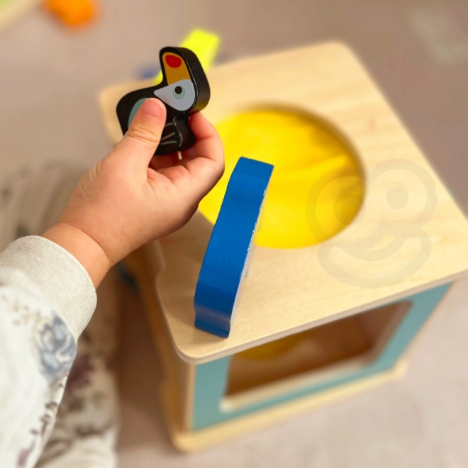 Pädagogische Montessori-Box für Kinder im Alter von 31-36 Monaten