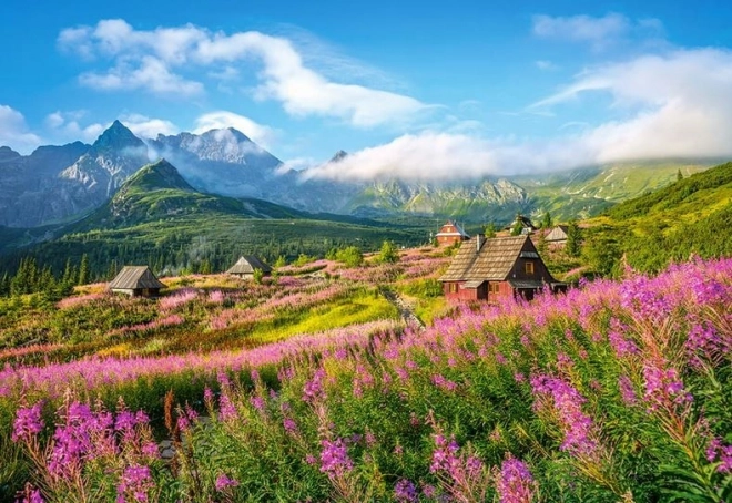 Puzzle 1000 Teile Hala Gąsienicowa, Tatra, Polen