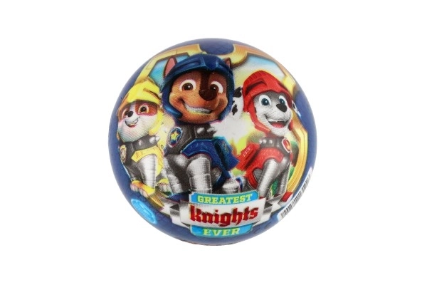 Paw Patrol Ball 14cm