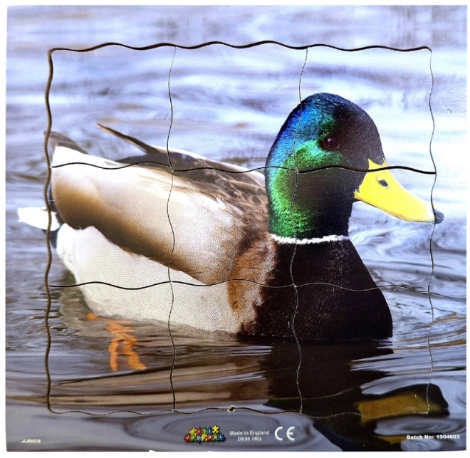 Just Jigsaws Enten-Lebenszyklus Holzpuzzle