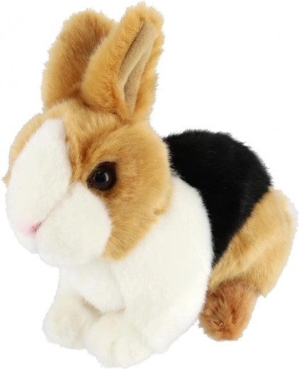 Realistische Details und farbige Ausführung