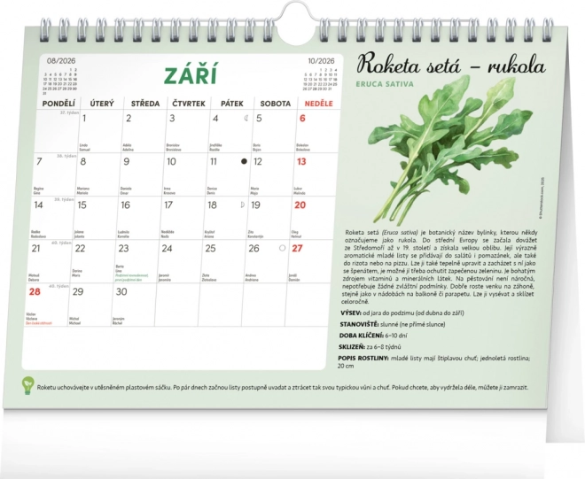 Notique Monatsplaner Kalender mit Samen 2026