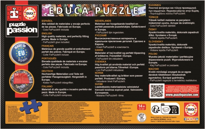 Educa Puzzle Schloss Neuschwanstein 1000 Teile