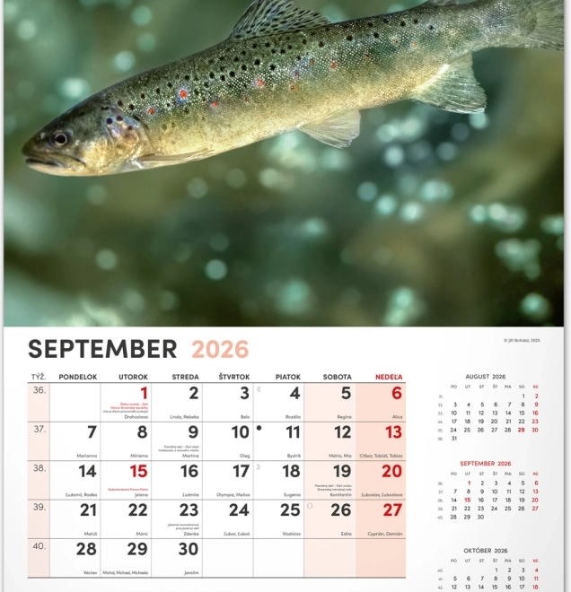 Wandkalender Angeln 2026