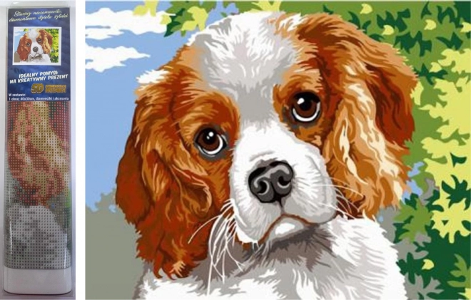 Diamantmalerei Hundeblick 30x40cm