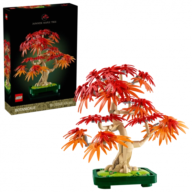 LEGO Botanicals Bonsai – Japanischer Roter Ahorn