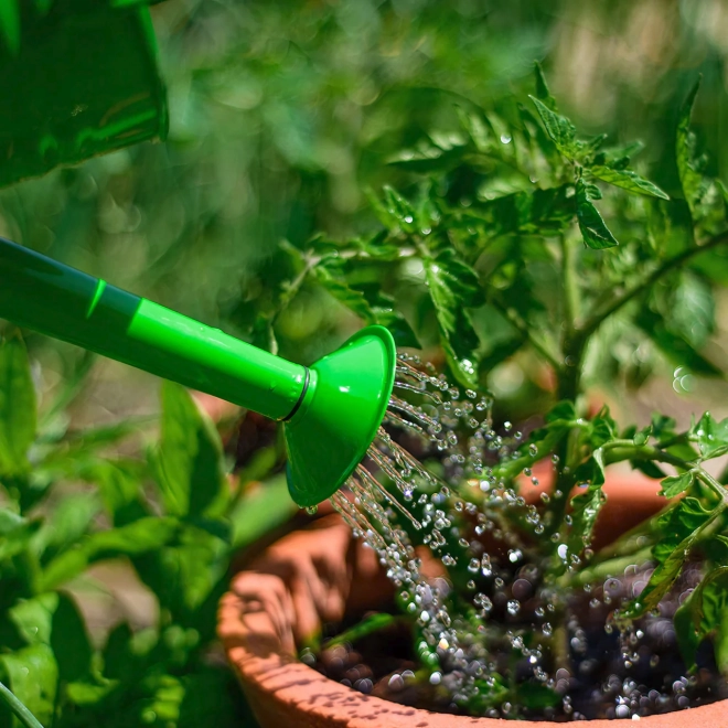 Garten Gießkanne Grün