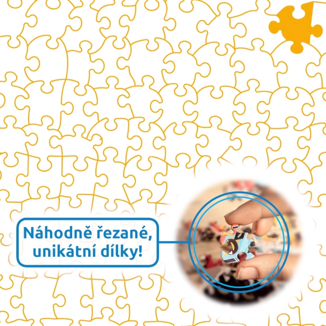 Puzzle Farbenfrohe Pflanzen – 1000 Teile