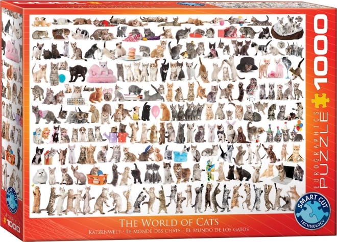 Eurographics Puzzle Welt der Katzen 1000 Teile