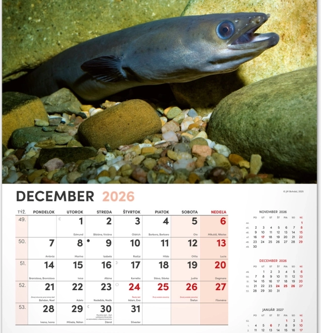 Wandkalender Angeln 2026
