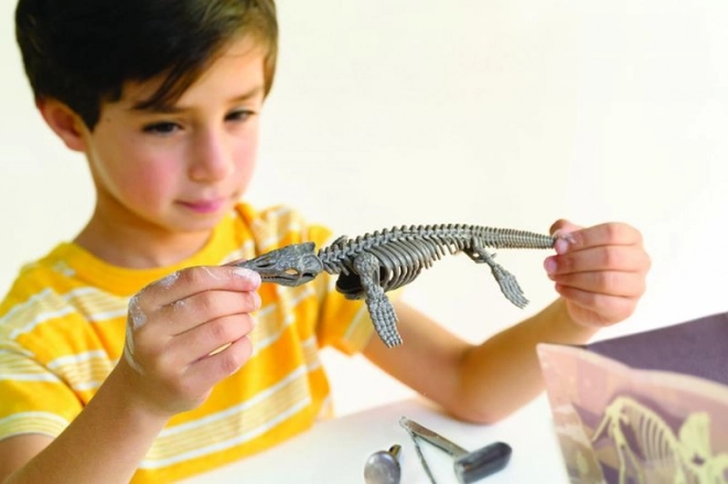 4M Mosasaurus Skelett