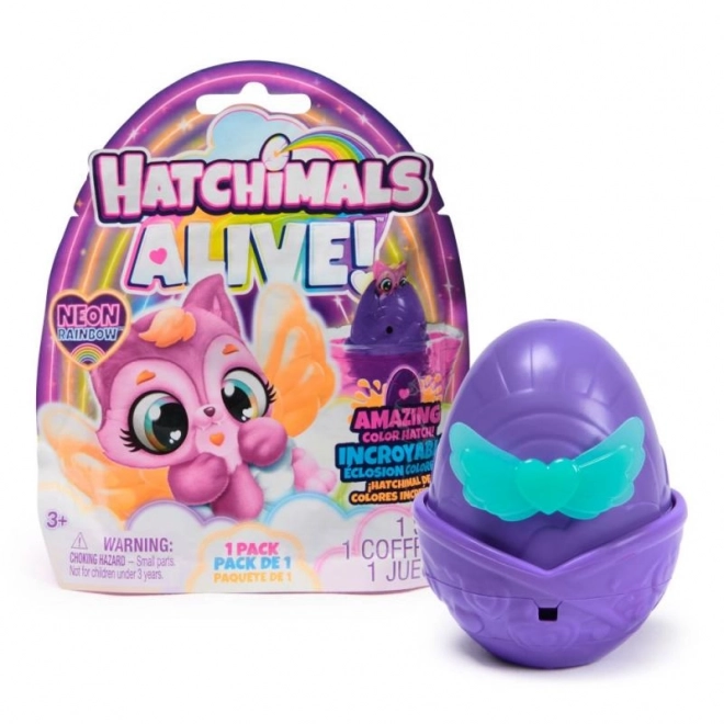 Hatchimals Neonzucht Regenbogen