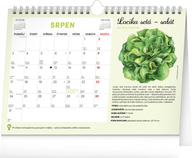 Notique Monatsplaner Kalender mit Samen 2026