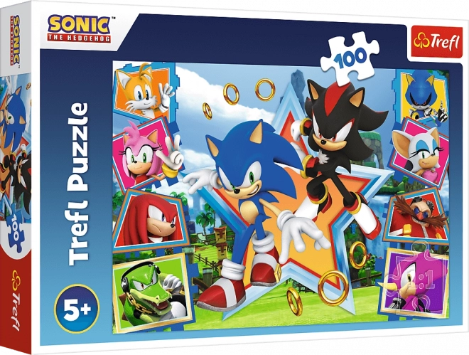 Puzzle 100 Teile Sonic kennenlernen