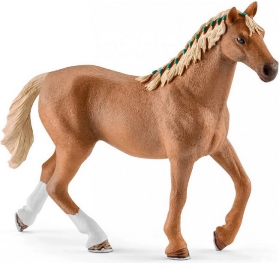 Umfangreiches Zubehör