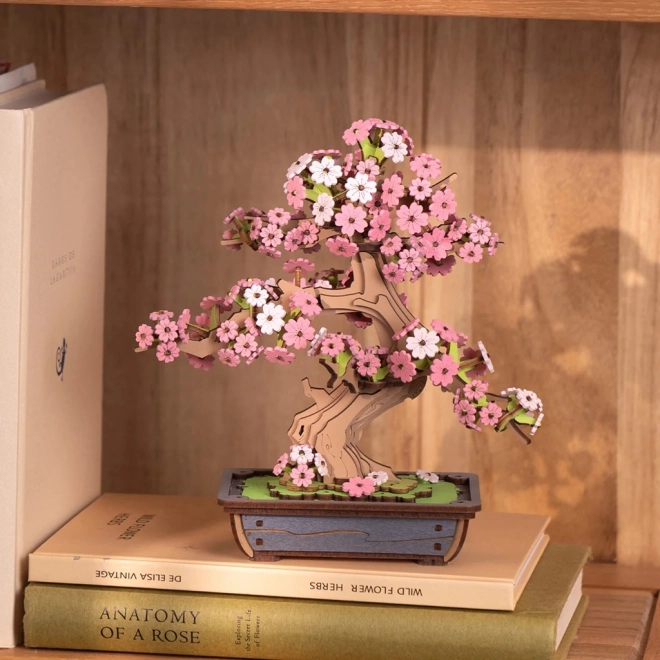 3D Holzpuzzle Bonsai Sakura