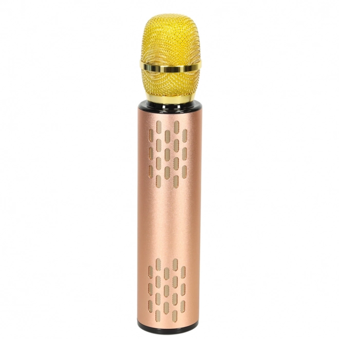 Karaoke drahtloses Bluetooth-Mikrofon schwarz – Gold