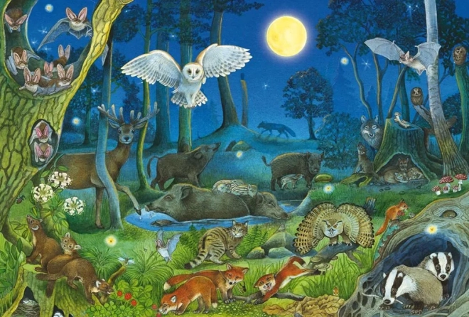 Puzzle Waldtiere bei Nacht 100 Teile