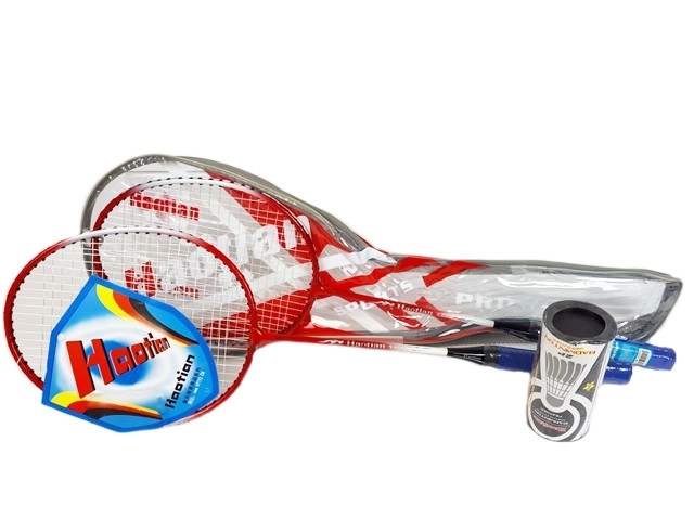 Badminton-Set mit Federbällen in einer Tasche