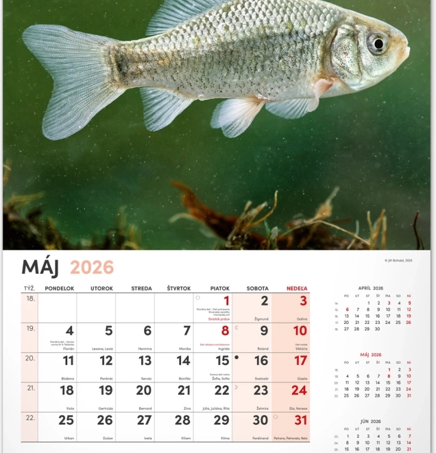 Wandkalender Angeln 2026